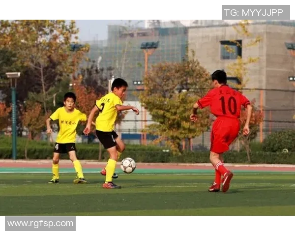 南京足球队意识变革引发热议助力球队新篇章的探索与发展